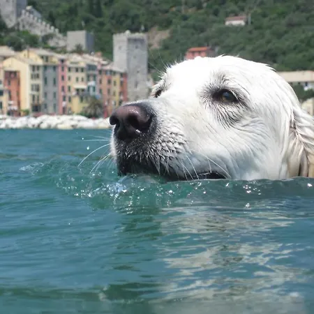 Sea View In Front Of The Sea * Porto Venere